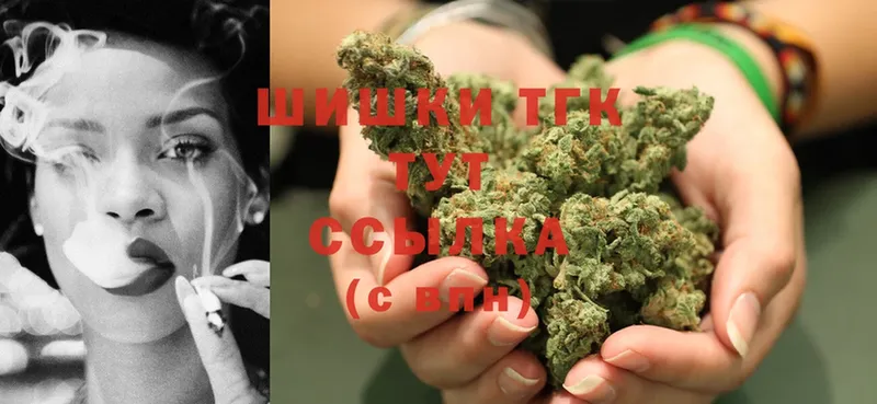 Шишки марихуана SATIVA & INDICA  купить наркотики сайты  мега ссылка  Великий Устюг 